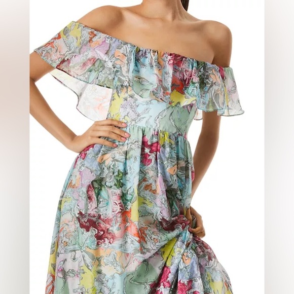 NWT Alice + Olivia Ruffled Off Shoulder Maxi Dress - Multi Print Boho Maxi Dress - Picture 5 of 15